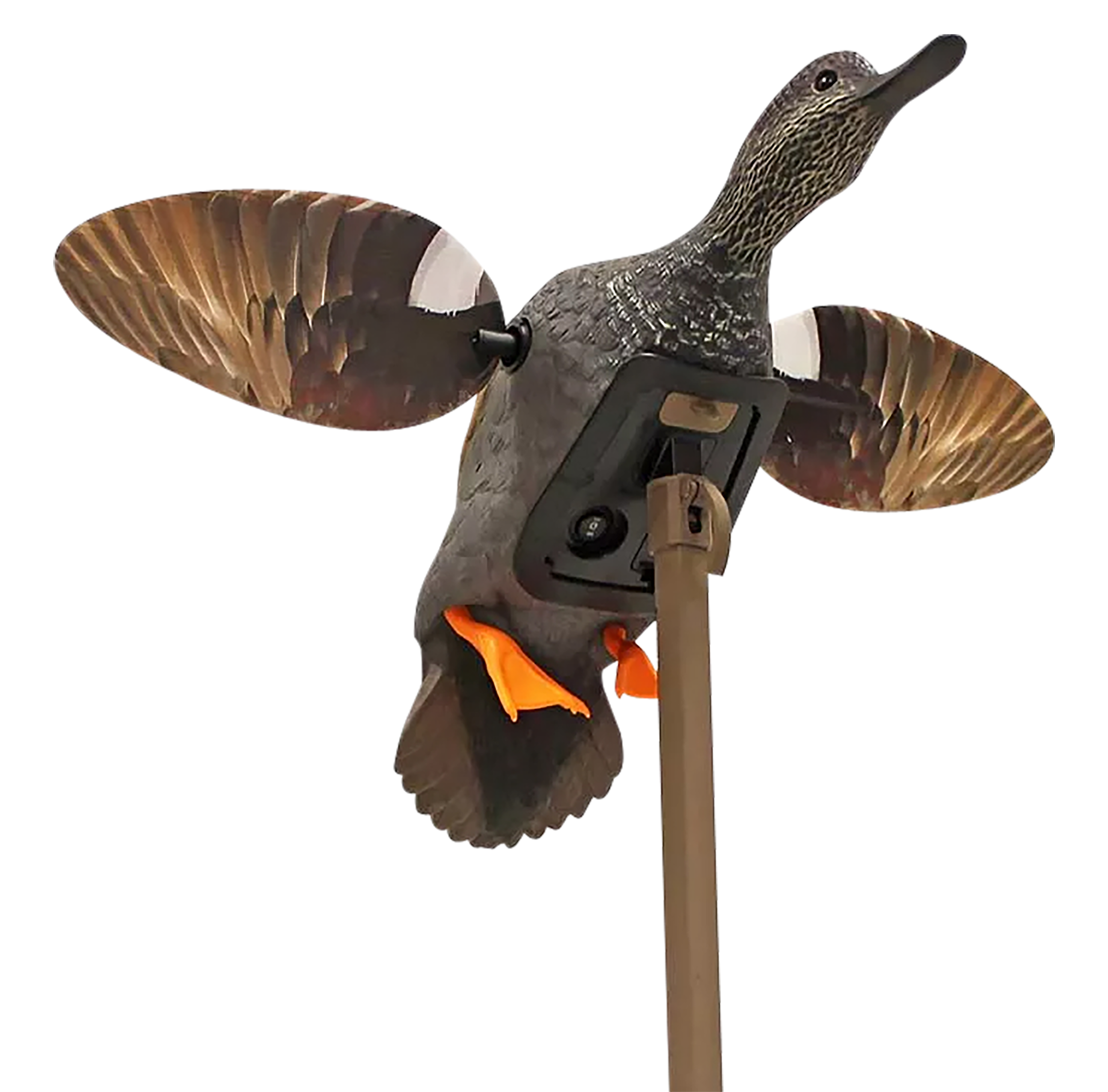 Mojo Mojo Hw2473-3p Es Gadwall