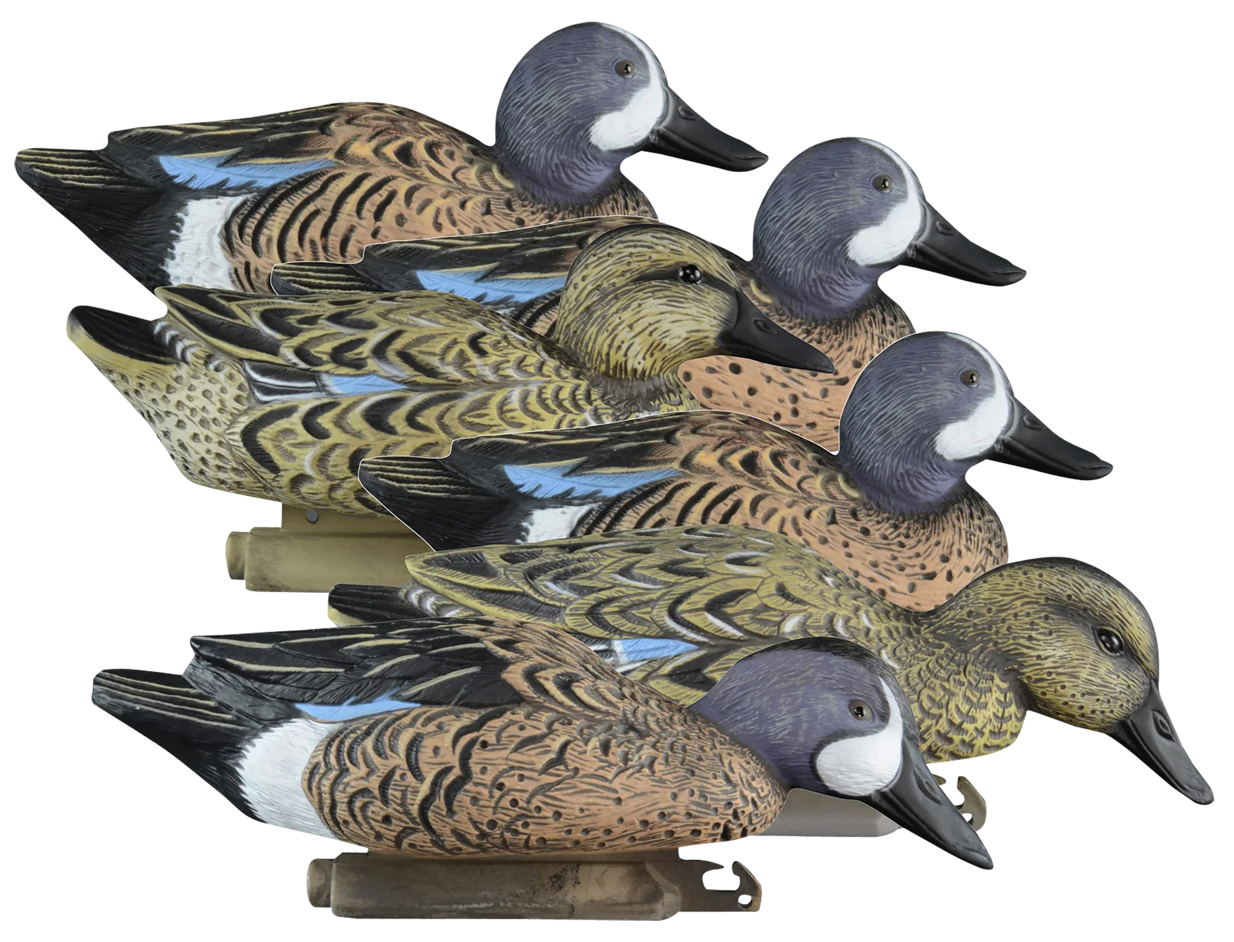 Higdon Outdoors 19953 StandardBlue Wing Teal Species Multi Color Foam Filled 6 Pack