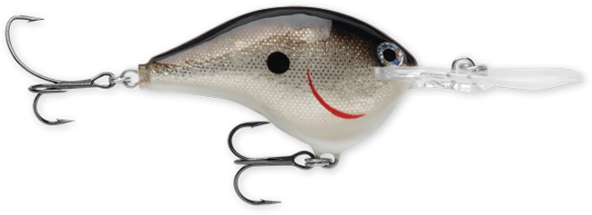Rapala DT Series 3/5 Silver