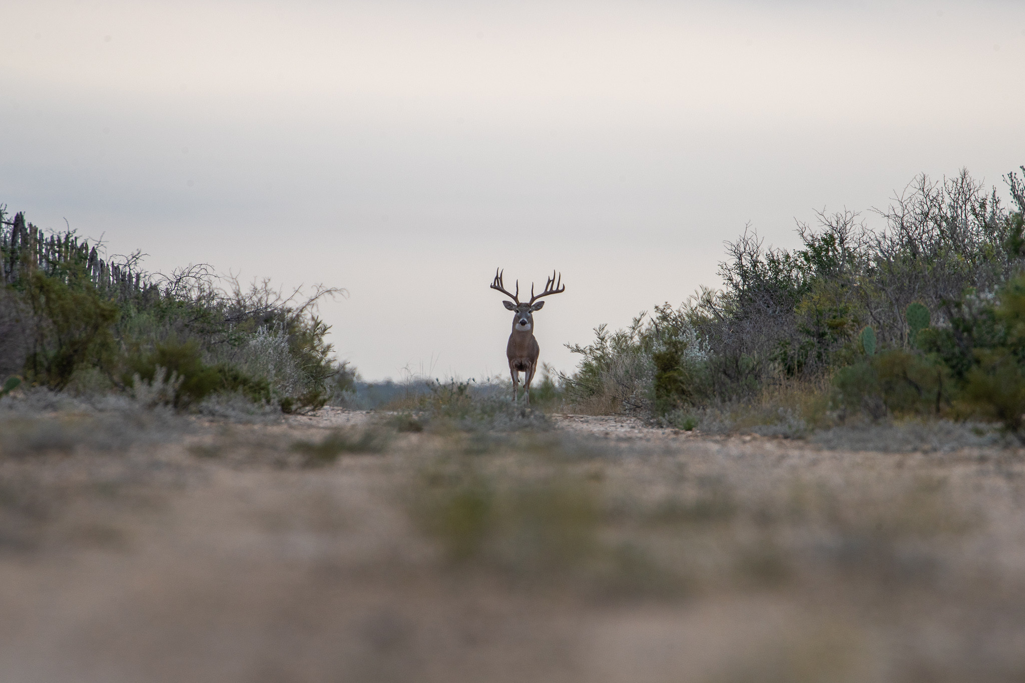 OUTDOOR ASSOCIATIONS