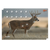 EZ-Aim 15286 WhitetailDeer Paper Hanging 23" x 35" Multi-Color Includes Pasters 2 Per Pkg