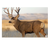 Birchwood Casey 37482 EZE-ScorerMule Deer Paper Hanging 23" x 35" Multi-Color 2 Per Pkg