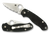 Spyderco C223GP Para 32.95" Folding Clip Point Plain CPM S45VN SS Blade Black G10 Handle Includes Pocket Clip