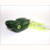 Scum Frog Popper 5/16oz Green-Chart/White Scum Frog Popper 5/16oz Green-Chart/White
