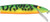 Smithwick Suspend Rattlin Rogue 4.5" Tiger Roan Smithwick Suspend Rattlin Rogue 4.5" Tiger Roan