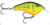 Rapala Ott Garage Slim 6' 1/2 2.75" Chart Rootbeer Craw