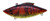 Bill Lewis Rattle Trap 1/2 Red Craw/Chart Belly Bill Lewis Rattle Trap 1/2 Red Craw/Chart Belly