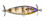 Cordell Crazy Shad 3/8 Bluegill Cordell Crazy Shad 3/8 Bluegill
