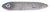 Heddon Super Spook 5" Flitter Shad Heddon Super Spook 5" Flitter Shad