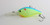 Backstabber Crank 8' - 12' Chartreuse Blue Stabber