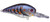 Strike King KVD Deep Diver Square Bill 1.5 Blue Craw