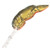Rebel Deep Wee Crawfish 3/8 Moss Crawfish Rebel Deep Wee Crawfish 3/8 Moss Crawfish