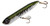 Heddon Chug'n Spook 4 7/8" 1oz Baby Bass Heddon Chug'n Spook 4 7/8" 1oz Baby Bass