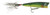 Rebel Super Pop-R 5/16 Sun Perch Rebel Super Pop-R 5/16 Sun Perch