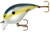 Bomber Square A-Value 3/8 Foxy Shad Bomber Square A-Value 3/8 Foxy Shad