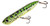 Heddon Chug'n Spook Jr 3 1/2" G-Finish Bullfrog