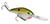 Strike King Series 5XD - 5/8oz TN Shad 2.0 Strike King Series 5XD - 5/8oz TN Shad 2.0