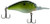 Luck-E-Strike Smoothie Deep 8-12ft 1/2oz Tennessee Shad Luck-E-Strike Smoothie Deep 8-12ft 1/2oz Tennessee Shad
