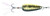 Nichols Mojo Flutter Spoon, Golden Shiner, 1/2oz Nichols Mojo Flutter Spoon, Golden Shiner, 1/2oz