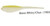 Bobby Garland Baby Shad 2" 18ct Bone White Chartreuse