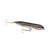Heddon Super Spook XT 5" 1oz Sea Trout