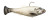 Z-MAN Shadtron LT4.5in. Slow Sink Sight Flash