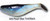 Luckie Strike Shad Minnow MC 4" 50ct Pearl Blue Tint/Black