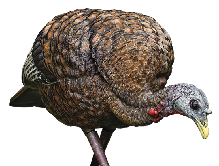 Avian X AVXAVX8007 LCD Feeder Hen Turkey Species Multi Color Dura-Rubber