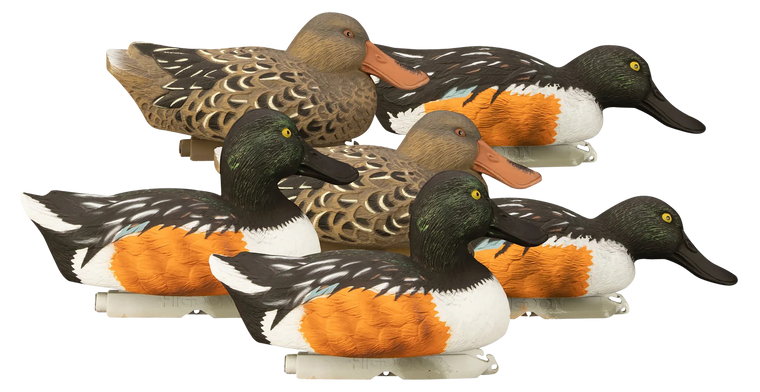 Higdon Decoys Standard Higdon 19963 Standard Shoveler Foam Fill 6pk