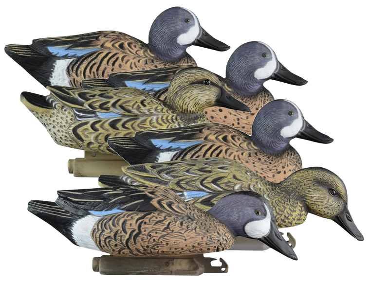 Higdon Outdoors 19953 StandardBlue Wing Teal Species Multi Color Foam Filled 6 Pack