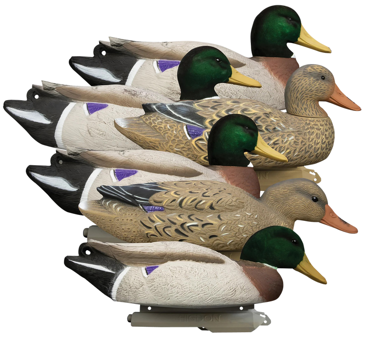 Higdon Outdoors 16034 BattleshipOversized Mallards Species Multi Color Foam Filled Features Flocked Heads 6 Pack