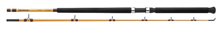 Daiwa FT Surf Spinning Rod 10' 2pc M