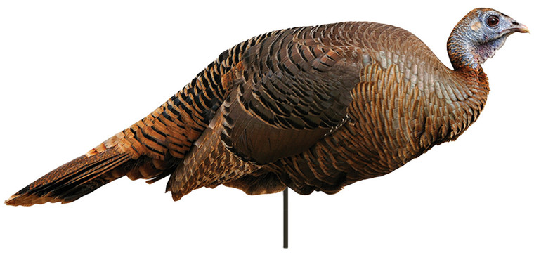 Montana Decoy Co Spring Fling Hen Decoy