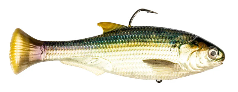 Z-MAN Shadtron LT6in. Slow Sink Blueback Herring