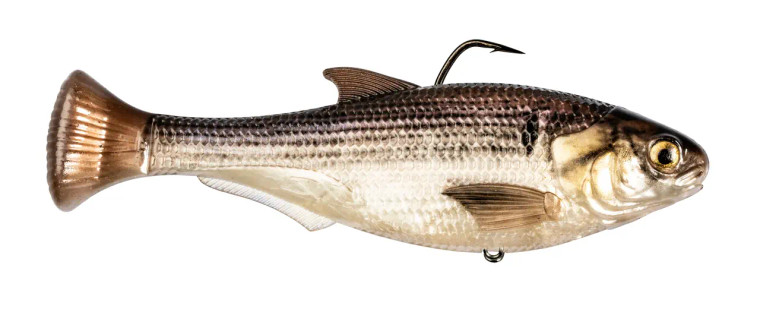 Z-MAN Shadtron LT6in. Slow Sink Gizzard Shad