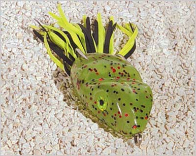 Sortum Frog Scum Frog 5/16oz Watermelon Red-Black/Chart | BOSQUE Outdoors