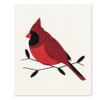 S/2 CARDINALS DISHCLOTHS 84ASDABX20