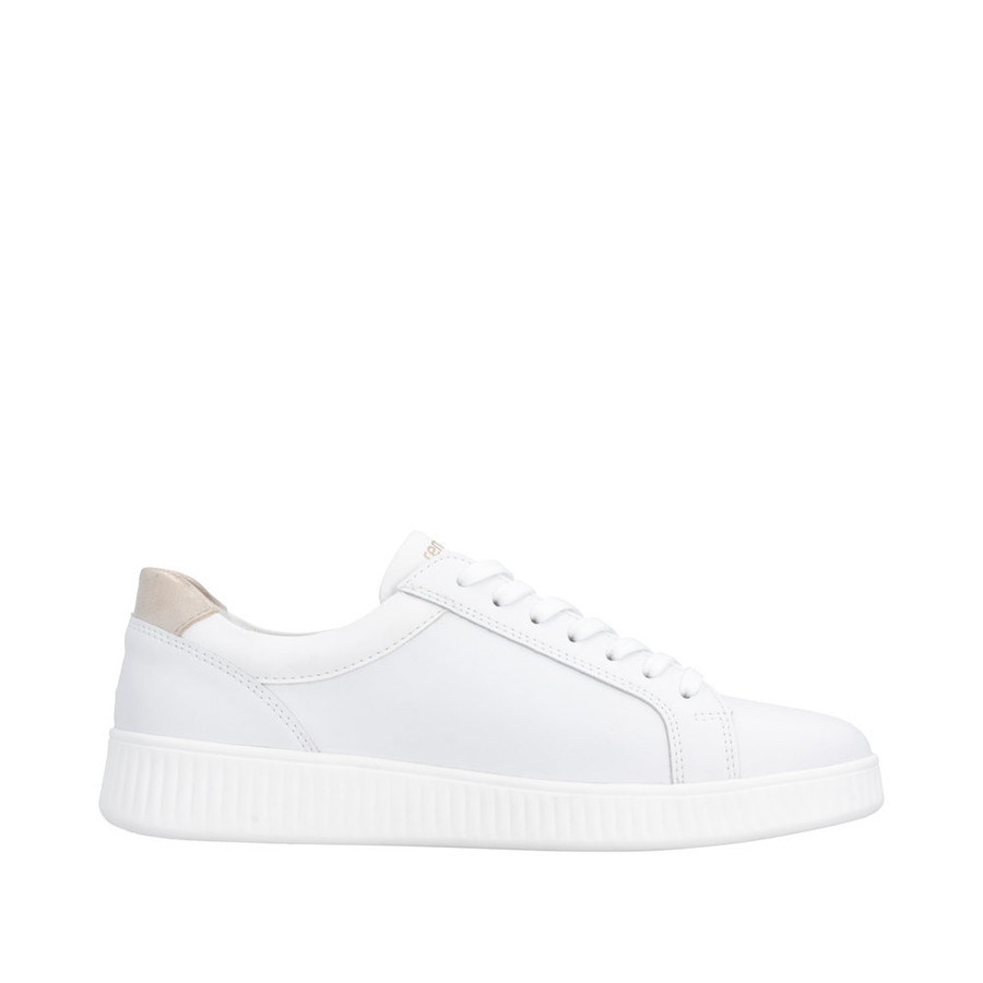 SNEAKER PERF WHITE GOLD ZIP D2E03-81