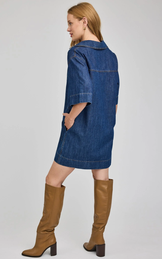 EVELINA DENIM DRESS GF2601-8798