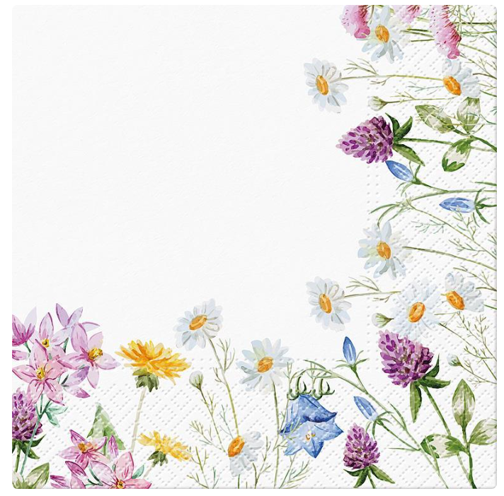 LG SPRING FRAME NAPKINS 88L120110