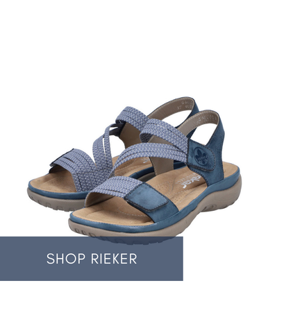 Shop women's sweaters parkhurst cotton country at Brock's