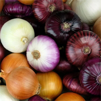 onions-a.jpg