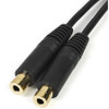 StarTech.com Stereo Splitter Cable - Phono Stereo 3.5mm (M) - Phono 2x Stereo (F) - 6in MUY1MFF