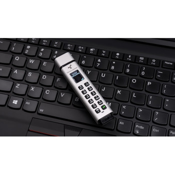 DataLocker K350 256 GB Encrypted USB Drive SK350-256-FE