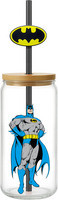 Batman 22509 Lidded Beer Can Pint Glass Cup 16 oz Straw Charm
