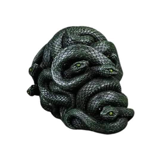 Slithering Snakes Wrapped Skull 6.25" L Resin Figurine