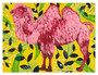 Neon Pink Camel Canvas Wall Art Spring Whitaker 18 X 14 NB96874