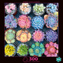 Sweet Succulents Cactus Plants 300 Large Piece Jigsaw Puzzle Photography Images