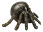 Tarantula Spider Skull 15982 Figurine Cold Cast Bronze Resin