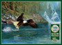 Fly Fishing 40264 Bald Eagle 1000 pc Jigsaw Puzzle Cobble Hill 26.6 x 19.2"